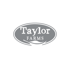 taylor firm